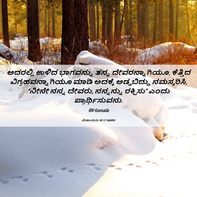 Picture 06 - ಯೆಶಾಯನು 44:17 KANIRV - ಅದರಲ್ಲಿ ಉಳಿದ - Bible Verse Picture