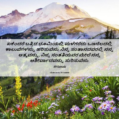 Picture 06 - ಯೆಶಾಯನು 44:3 KANIRV - ಏಕೆಂದರೆ ಬತ್ತಿದ - Bible Verse Picture
