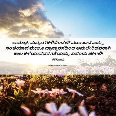 Picture 06 - ಯೆಶಾಯನು 5:11 KANIRV - ಅಯ್ಯೋ, ಮದ್ಯದ - Bible Verse Picture