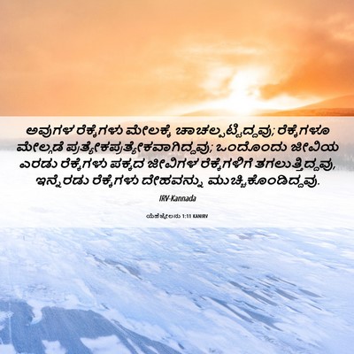 Picture 06 - ಯೆಹೆಜ್ಕೇಲನು 1:11 KANIRV - ಅವುಗಳ ರೆಕ್ಕೆಗಳು - Bible Verse Picture