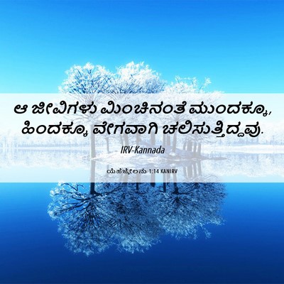 Picture 06 - ಯೆಹೆಜ್ಕೇಲನು 1:14 KANIRV - ಆ ಜೀವಿಗಳು - Bible Verse Picture
