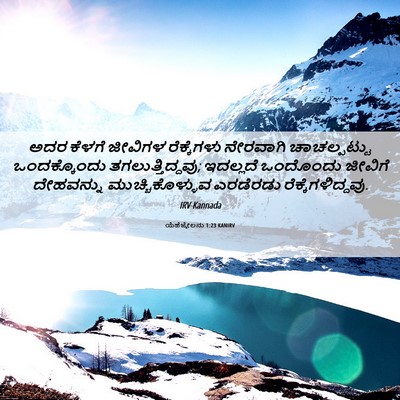 Picture 06 - ಯೆಹೆಜ್ಕೇಲನು 1:23 KANIRV - ಅದರ ಕೆಳಗೆ ಜೀವಿಗಳ - Bible Verse Picture