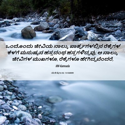Picture 06 - ಯೆಹೆಜ್ಕೇಲನು 1:8 KANIRV - ಒಂದೊಂದು ಜೀವಿಯ - Bible Verse Picture