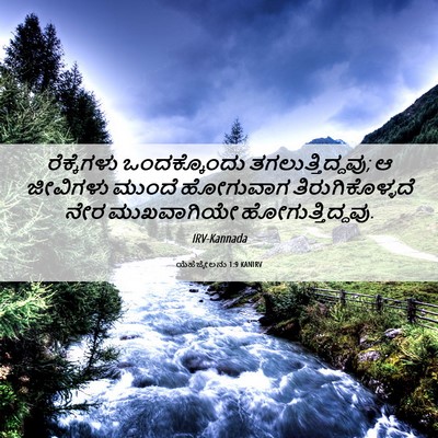 Picture 06 - ಯೆಹೆಜ್ಕೇಲನು 1:9 KANIRV - ರೆಕ್ಕೆಗಳು - Bible Verse Picture