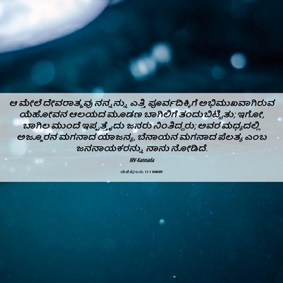 Picture 06 - ಯೆಹೆಜ್ಕೇಲನು 11:1 KANIRV - ಆ ಮೇಲೆ ದೇವರಾತ್ಮವು - Bible Verse Picture