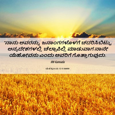 Picture 06 - ಯೆಹೆಜ್ಕೇಲನು 12:15 KANIRV - “ನಾನು ಅವರನ್ನು - Bible Verse Picture