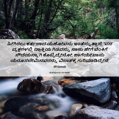 Picture 06 - ಯೆಹೆಜ್ಕೇಲನು 15:6 KANIRV - ಹೀಗಿರಲು ಕರ್ತನಾದ - Bible Verse Picture