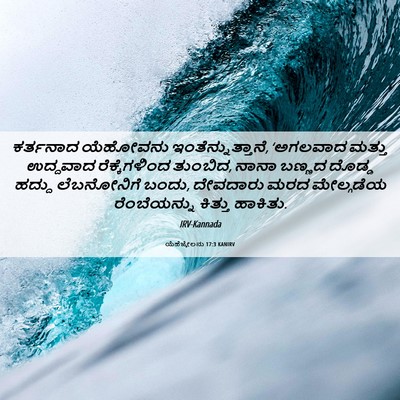 Picture 06 - ಯೆಹೆಜ್ಕೇಲನು 17:3 KANIRV - ಕರ್ತನಾದ ಯೆಹೋವನು - Bible Verse Picture
