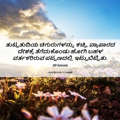 Picture 06 - ಯೆಹೆಜ್ಕೇಲನು 17:4 KANIRV - ತುಟ್ಟತುದಿಯ - Bible Verse Picture