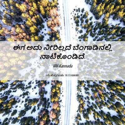 Picture 06 - ಯೆಹೆಜ್ಕೇಲನು 19:13 KANIRV - ಈಗ ಅದು ನೀರಿಲ್ಲದೆ - Bible Verse Picture