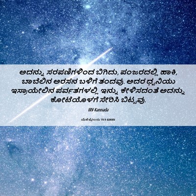 Picture 06 - ಯೆಹೆಜ್ಕೇಲನು 19:9 KANIRV - ಅದನ್ನು ಸರಪಣಿಗಳಿಂದ - Bible Verse Picture