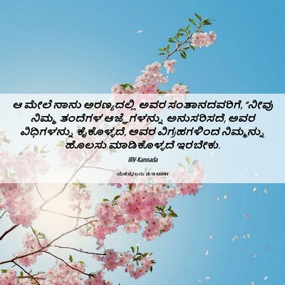 Picture 06 - ಯೆಹೆಜ್ಕೇಲನು 20:18 KANIRV - ಆ ಮೇಲೆ ನಾನು - Bible Verse Picture