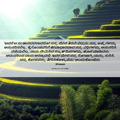 Picture 06 - ಯೆಹೆಜ್ಕೇಲನು 20:21 KANIRV - “ಆದರೆ ಆ - Bible Verse Picture