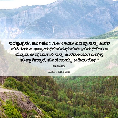 Picture 06 - ಯೆಹೆಜ್ಕೇಲನು 21:12 KANIRV - ನರಪುತ್ರನೇ, ಕೂಗಿಕೋ, - Bible Verse Picture