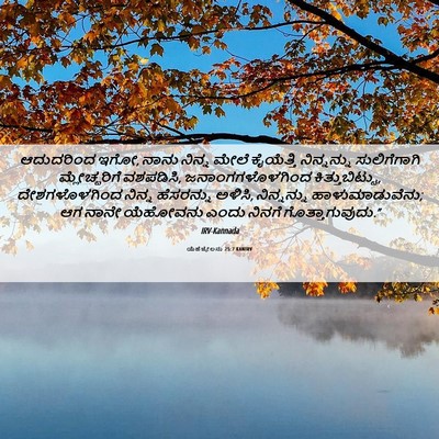 Picture 06 - ಯೆಹೆಜ್ಕೇಲನು 25:7 KANIRV - ಆದುದರಿಂದ ಇಗೋ, ನಾನು - Bible Verse Picture