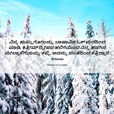 Picture 06 - ಯೆಹೆಜ್ಕೇಲನು 27:6 KANIRV - ನಿನ್ನ - Bible Verse Picture