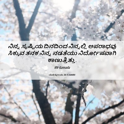 Picture 06 - ಯೆಹೆಜ್ಕೇಲನು 28:15 KANIRV - ನಿನ್ನ ಸೃಷ್ಟಿಯ - Bible Verse Picture