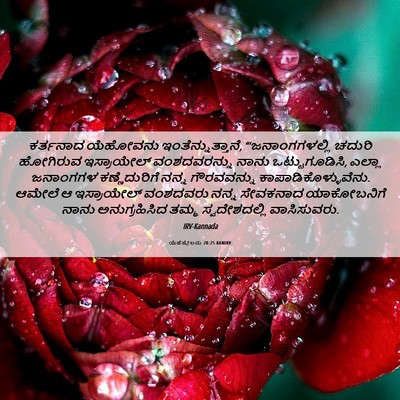 Picture 06 - ಯೆಹೆಜ್ಕೇಲನು 28:25 KANIRV - ಕರ್ತನಾದ ಯೆಹೋವನು - Bible Verse Picture