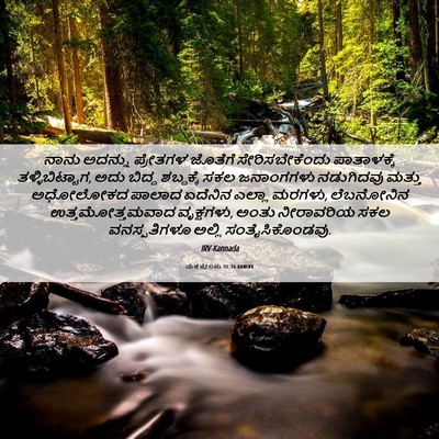 Picture 06 - ಯೆಹೆಜ್ಕೇಲನು 31:16 KANIRV - ನಾನು ಅದನ್ನು - Bible Verse Picture