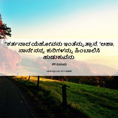Picture 06 - ಯೆಹೆಜ್ಕೇಲನು 34:11 KANIRV - “‘ಕರ್ತನಾದ ಯೆಹೋವನು - Bible Verse Picture