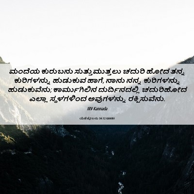 Picture 06 - ಯೆಹೆಜ್ಕೇಲನು 34:12 KANIRV - ಮಂದೆಯ ಕುರುಬನು - Bible Verse Picture