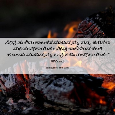 Picture 06 - ಯೆಹೆಜ್ಕೇಲನು 34:19 KANIRV - ನೀವು ತುಳಿದು ಕಾಲಕಸ - Bible Verse Picture