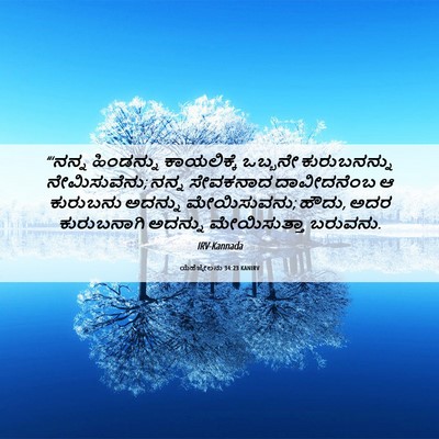 Picture 06 - ಯೆಹೆಜ್ಕೇಲನು 34:23 KANIRV - “‘ನನ್ನ ಹಿಂಡನ್ನು - Bible Verse Picture