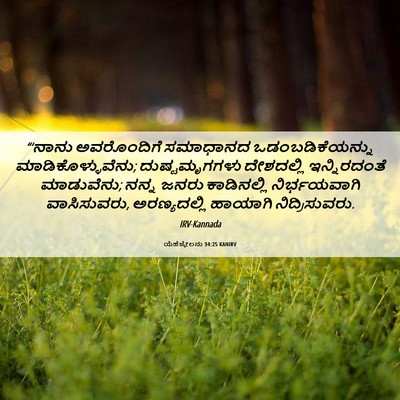 Picture 06 - ಯೆಹೆಜ್ಕೇಲನು 34:25 KANIRV - “‘ನಾನು ಅವರೊಂದಿಗೆ - Bible Verse Picture