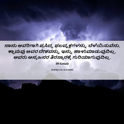 Picture 06 - ಯೆಹೆಜ್ಕೇಲನು 34:29 KANIRV - ನಾನು ಅವರಿಗಾಗಿ - Bible Verse Picture
