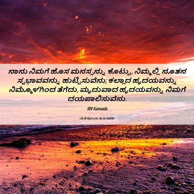 Picture 06 - ಯೆಹೆಜ್ಕೇಲನು 36:26 KANIRV - ನಾನು ನಿಮಗೆ ಹೊಸ - Bible Verse Picture