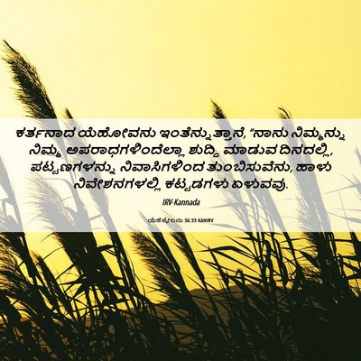 Picture 06 - ಯೆಹೆಜ್ಕೇಲನು 36:33 KANIRV - ಕರ್ತನಾದ ಯೆಹೋವನು - Bible Verse Picture