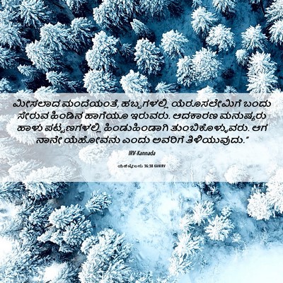 Picture 06 - ಯೆಹೆಜ್ಕೇಲನು 36:38 KANIRV - ಮೀಸಲಾದ ಮಂದೆಯಂತೆ, - Bible Verse Picture