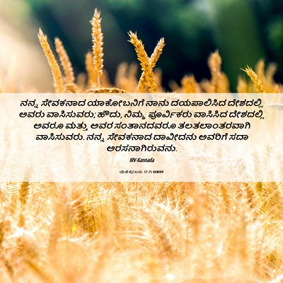 Picture 06 - ಯೆಹೆಜ್ಕೇಲನು 37:25 KANIRV - ನನ್ನ ಸೇವಕನಾದ - Bible Verse Picture