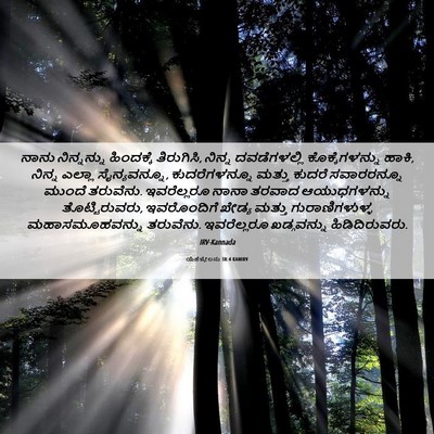 Picture 06 - ಯೆಹೆಜ್ಕೇಲನು 38:4 KANIRV - ನಾನು ನಿನ್ನನ್ನು - Bible Verse Picture