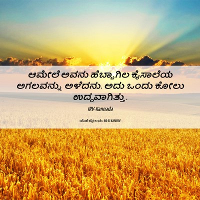 Picture 06 - ಯೆಹೆಜ್ಕೇಲನು 40:8 KANIRV - ಆಮೇಲೆ ಅವನು - Bible Verse Picture