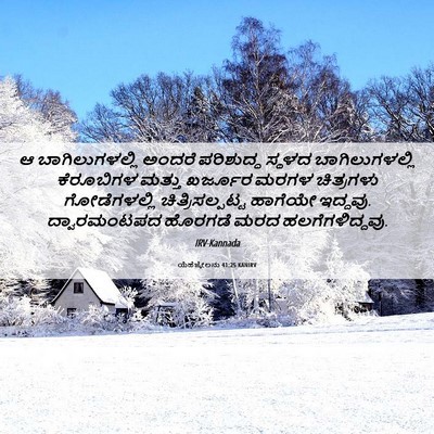 Picture 06 - ಯೆಹೆಜ್ಕೇಲನು 41:25 KANIRV - ಆ ಬಾಗಿಲುಗಳಲ್ಲಿ - Bible Verse Picture