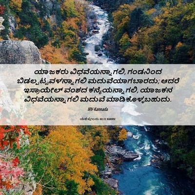 Picture 06 - ಯೆಹೆಜ್ಕೇಲನು 44:22 KANIRV - ಯಾಜಕರು - Bible Verse Picture