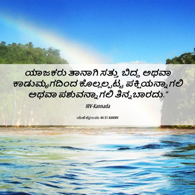 Picture 06 - ಯೆಹೆಜ್ಕೇಲನು 44:31 KANIRV - ಯಾಜಕರು ತಾನಾಗಿ - Bible Verse Picture