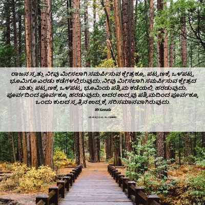 Picture 06 - ಯೆಹೆಜ್ಕೇಲನು 45:7 KANIRV - ರಾಜನ ಸ್ವತ್ತು ನೀವು - Bible Verse Picture