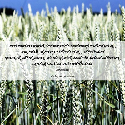 Picture 06 - ಯೆಹೆಜ್ಕೇಲನು 46:20 KANIRV - ಆಗ ಅವನು ನನಗೆ, - Bible Verse Picture