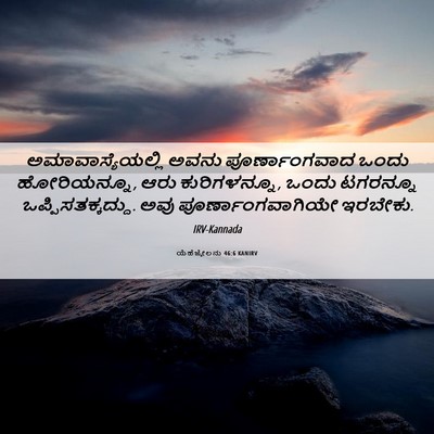 Picture 06 - ಯೆಹೆಜ್ಕೇಲನು 46:6 KANIRV - ಅಮಾವಾಸ್ಯೆಯಲ್ಲಿ - Bible Verse Picture