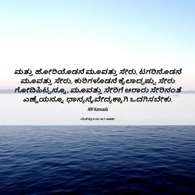 Picture 06 - ಯೆಹೆಜ್ಕೇಲನು 46:7 KANIRV - ಮತ್ತು ಹೋರಿಯೊಡನೆ - Bible Verse Picture