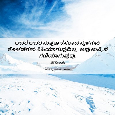 Picture 06 - ಯೆಹೆಜ್ಕೇಲನು 47:11 KANIRV - ಆದರೆ ಅದರ ಸುತ್ತಣ - Bible Verse Picture