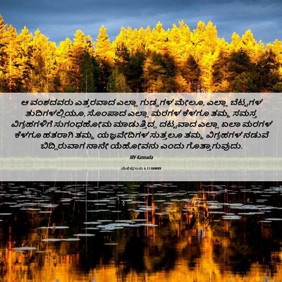 Picture 06 - ಯೆಹೆಜ್ಕೇಲನು 6:13 KANIRV - ಆ ವಂಶದವರು - Bible Verse Picture
