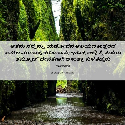 Picture 06 - ಯೆಹೆಜ್ಕೇಲನು 8:14 KANIRV - ಆತನು ನನ್ನನ್ನು - Bible Verse Picture