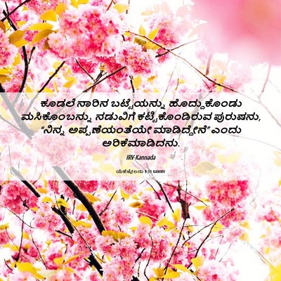 Picture 06 - ಯೆಹೆಜ್ಕೇಲನು 9:11 KANIRV - ಕೂಡಲೆ ನಾರಿನ - Bible Verse Picture