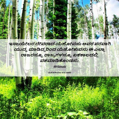 Picture 06 - ಯೆಹೋಶುವನು 10:42 KANIRV - ಇಸ್ರಾಯೇಲರ ದೇವರಾದ - Bible Verse Picture