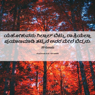 Picture 06 - ಯೆಹೋಶುವನು 10:9 KANIRV - ಯೆಹೋಶುವನು - Bible Verse Picture