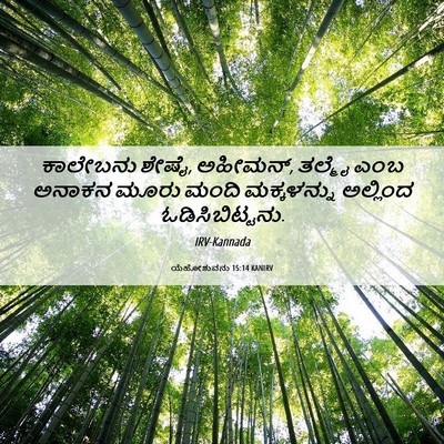 Picture 06 - ಯೆಹೋಶುವನು 15:14 KANIRV - ಕಾಲೇಬನು ಶೇಷೈ, - Bible Verse Picture