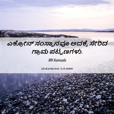 Picture 06 - ಯೆಹೋಶುವನು 15:45 KANIRV - ಎಕ್ರೋನ್ ಸಂಸ್ಥಾನವೂ - Bible Verse Picture